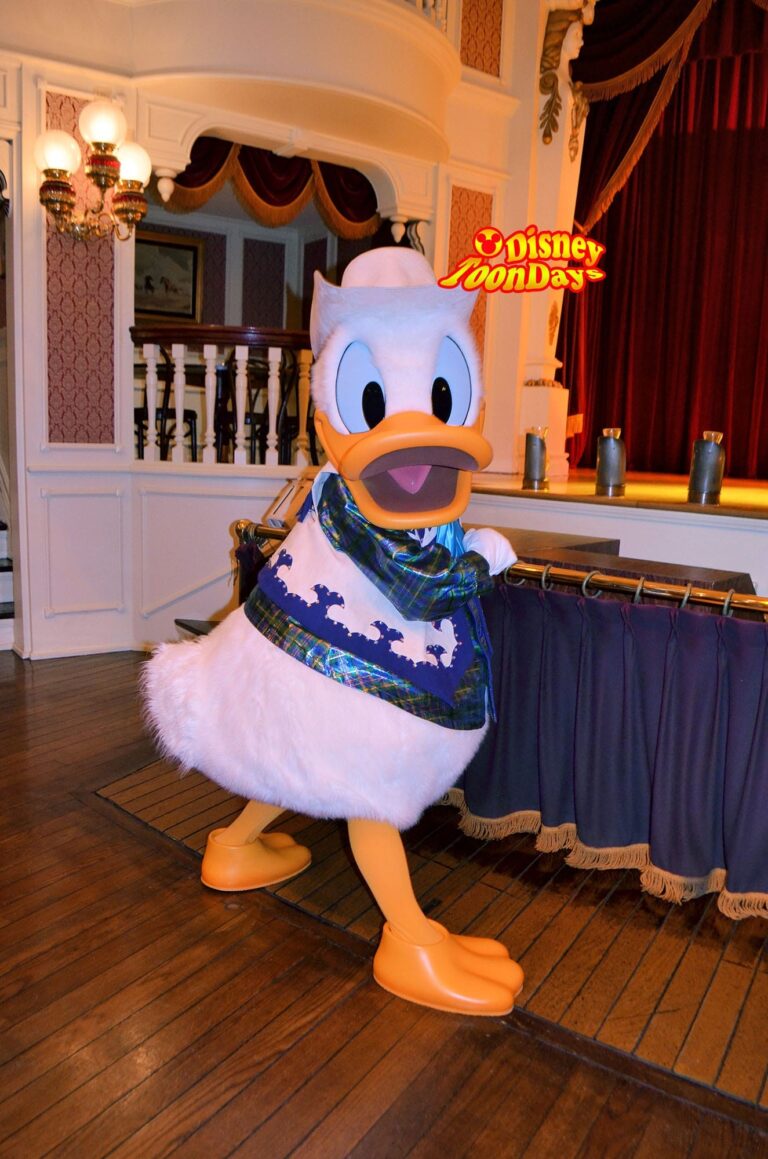 『ザ・ダイヤモンドホースシュー』のパークファンパーティーのドナルドダック