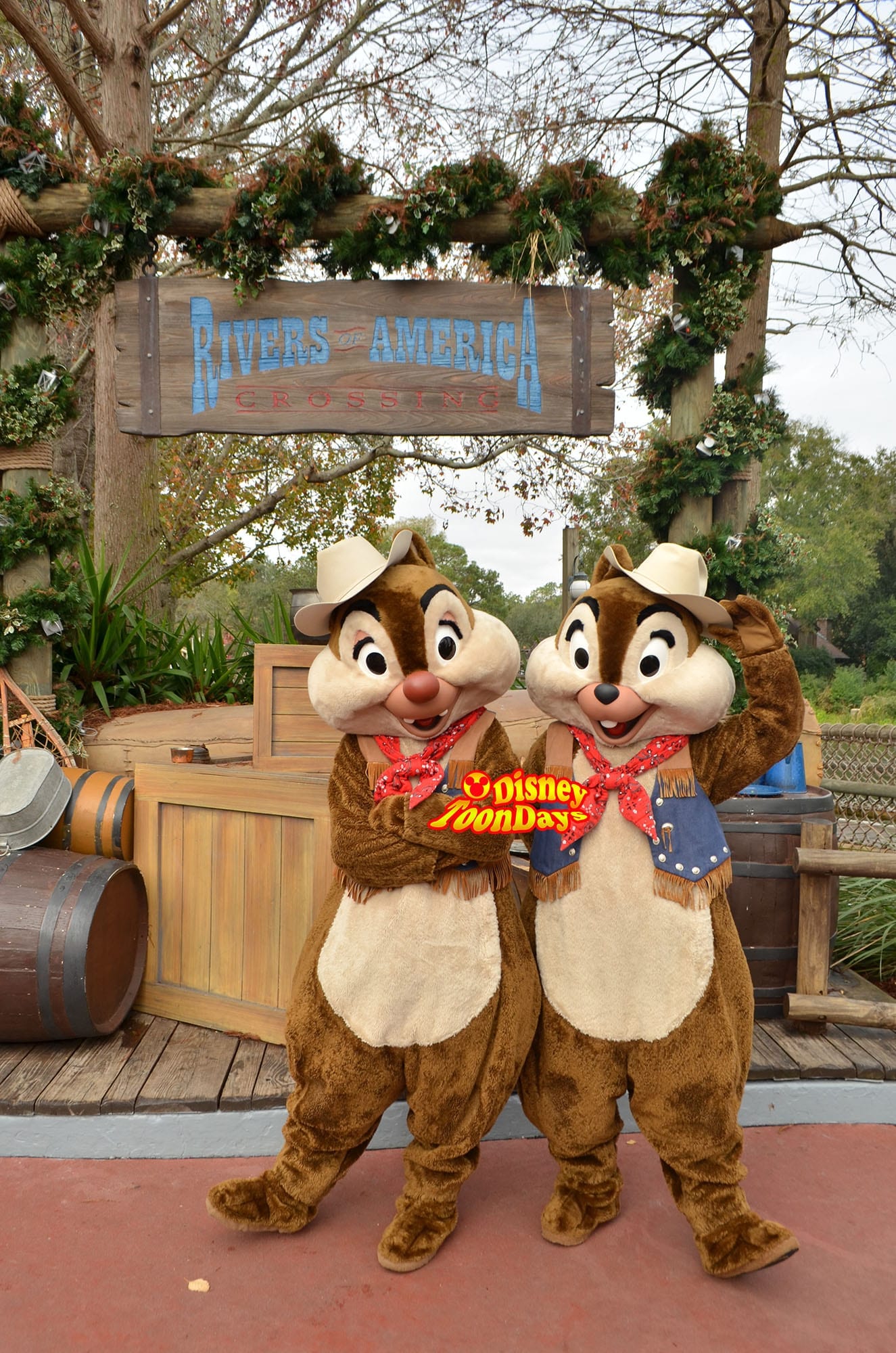 ウォルトディズニーワールド　マジックキングダム　フロンティアランド　チップ　デール