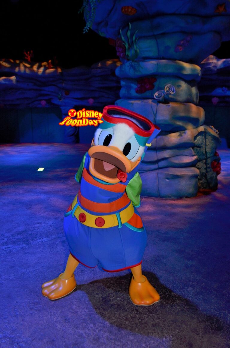 マーメイドラグーンのドナルドダック