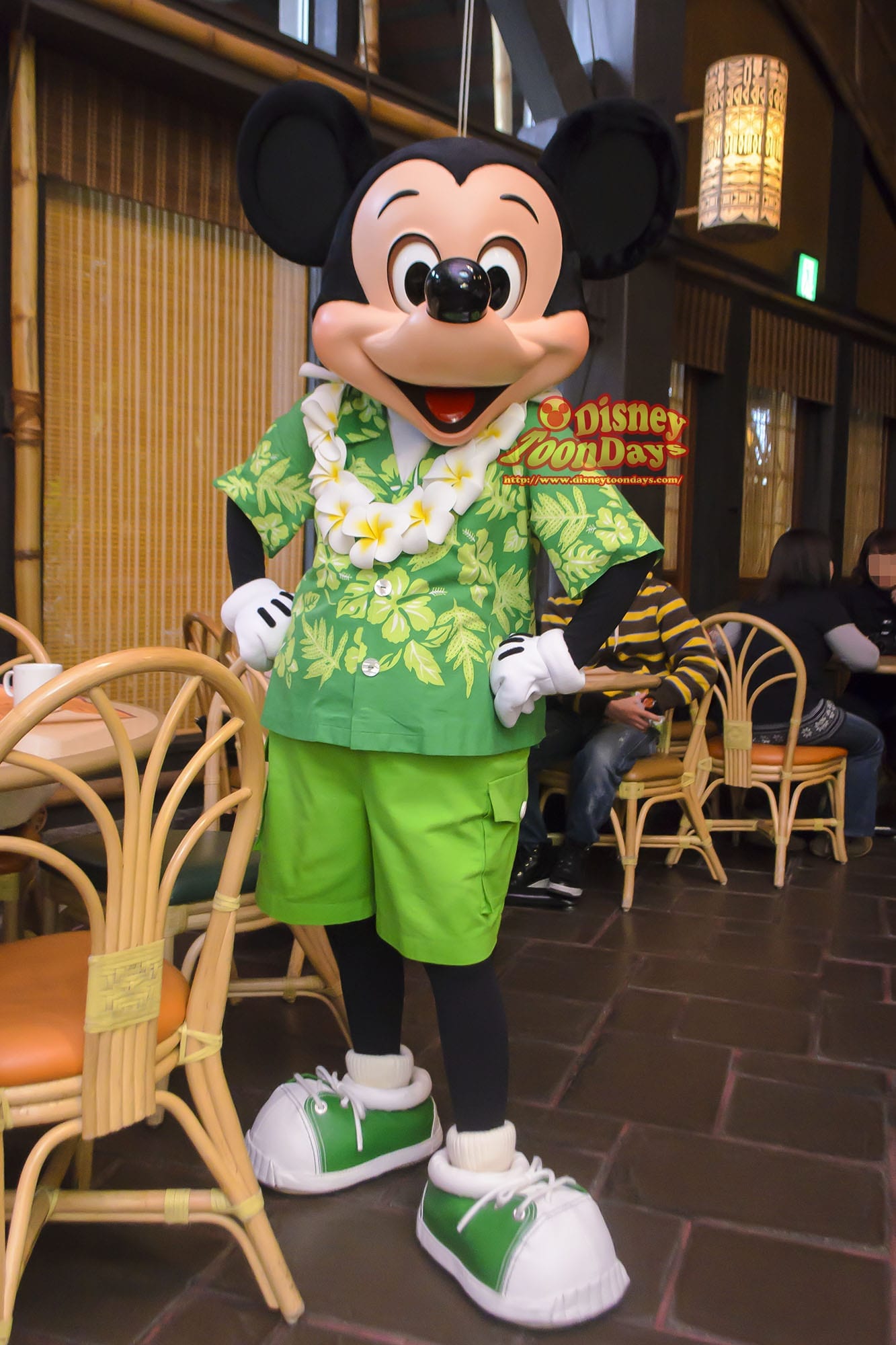 TDL アドベンチャーランド　ポリネシアンテラスレストラン　リロのルアウ&amp;ファン　グリーティング　ミッキーマウス