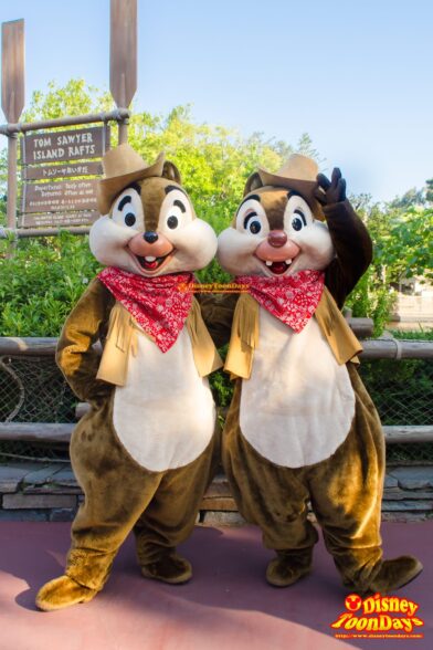 東京ディズニーランド　ウエスタンランド　グリーティング　チップ デール