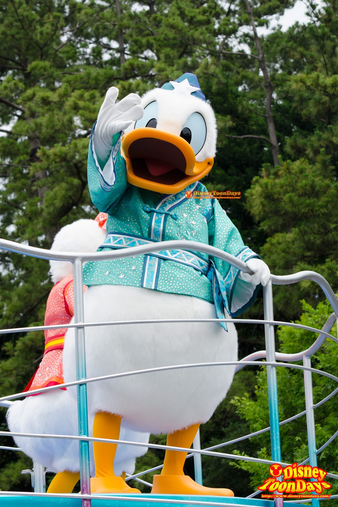 TDL 七夕グリーティング 2013 ドナルドダック