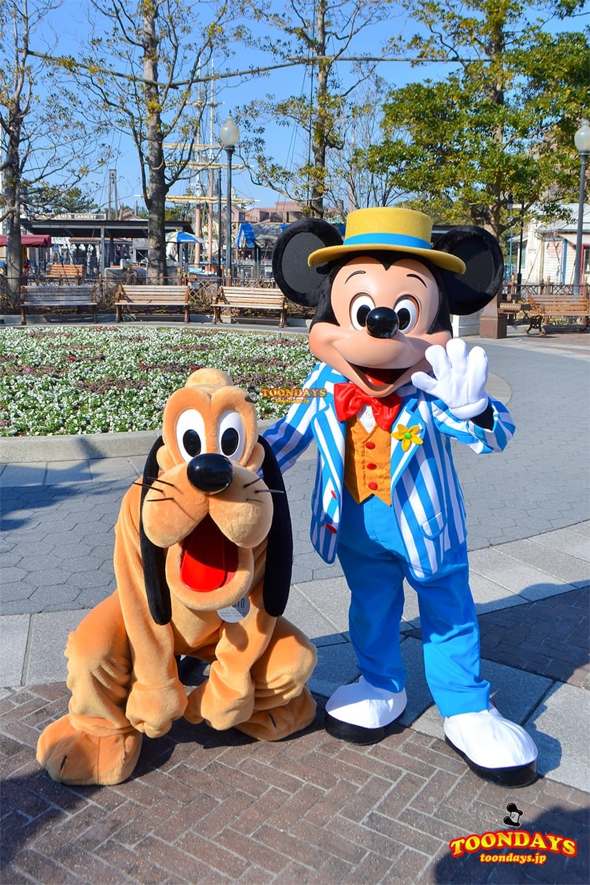 アメフロのミッキーとプルートペア 東京ディズニーシーのアメリカンウォーターフロントのグリーティング ディズニーブログ Toondays