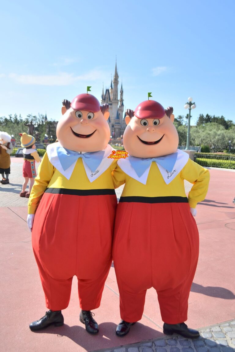 エントランス グリーティング 東京ディズニーランドハッピー15エントリー　トゥイードルディー・トゥイードルダム