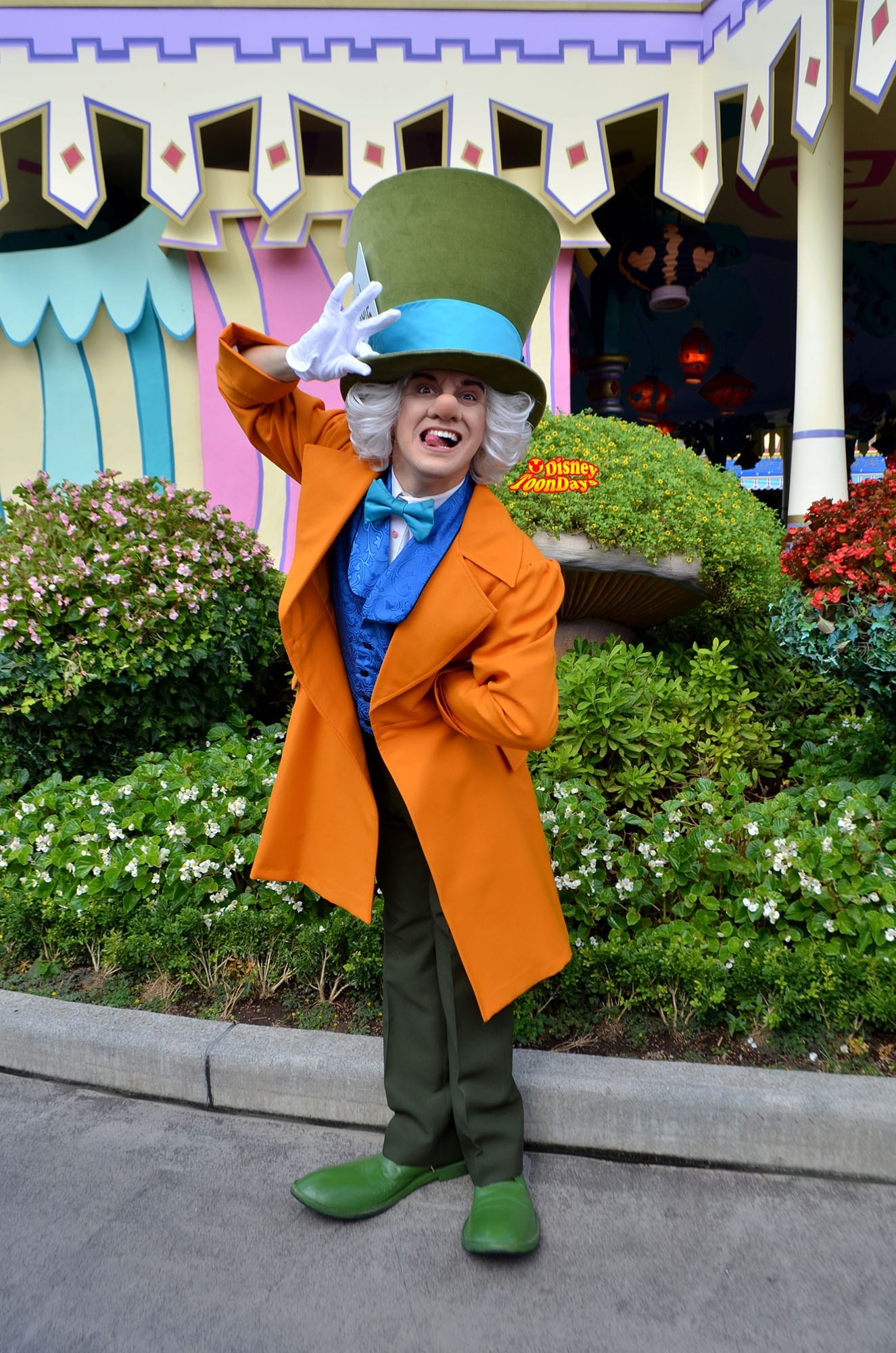 TDL ファンタジーランド　グリーティング　マッドハッター