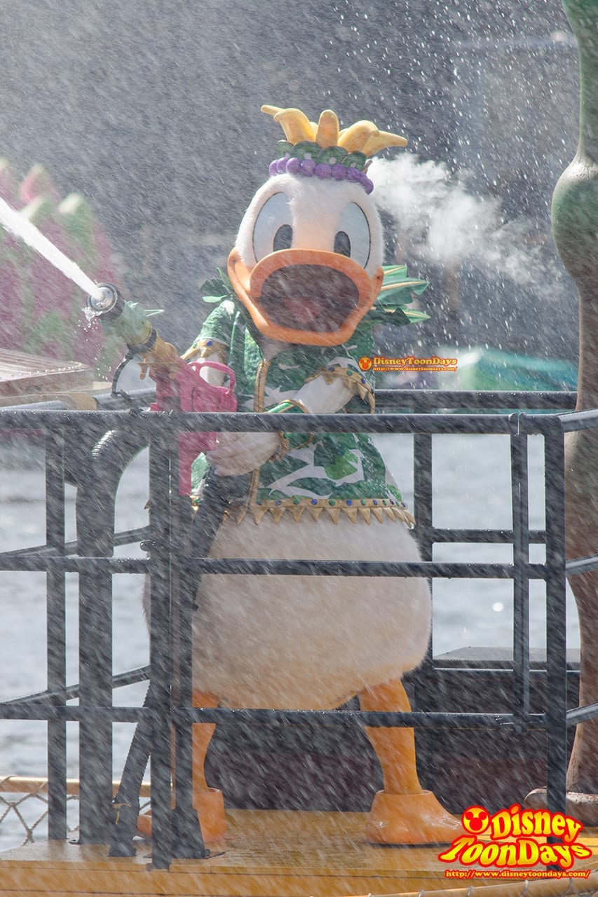 TDS ディズニー・サマーフェスティバル 2014 ミニーのトロピカルスプラッシュ ドナルドダック