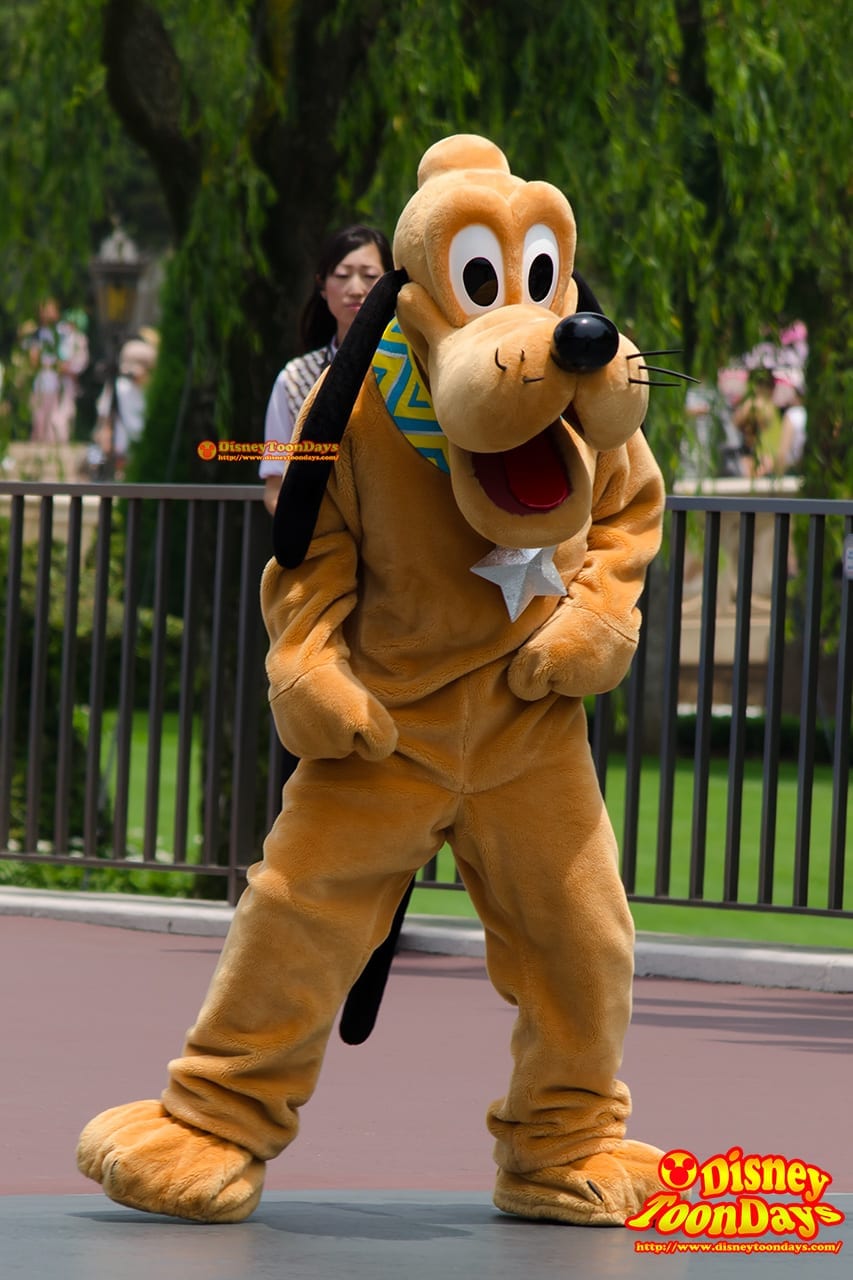 TDS ディズニー七夕デイズ 2014 七夕グリーティング プルート