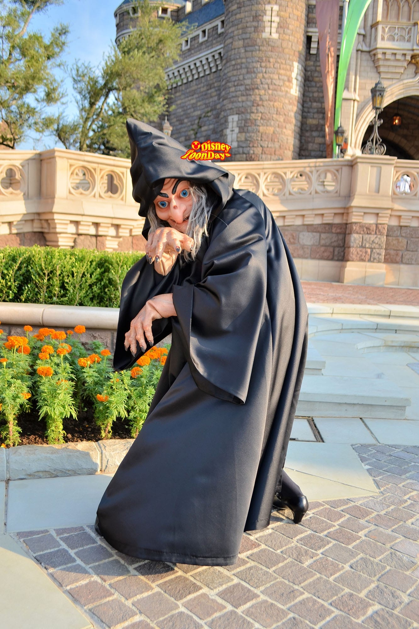 TDL　ファンタジーランド　グリーティング ウィックドウィッチ