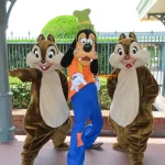 TDL エントランス グリーティング チップ デール グーフィー