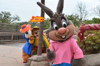 南部の唄の仲間たち