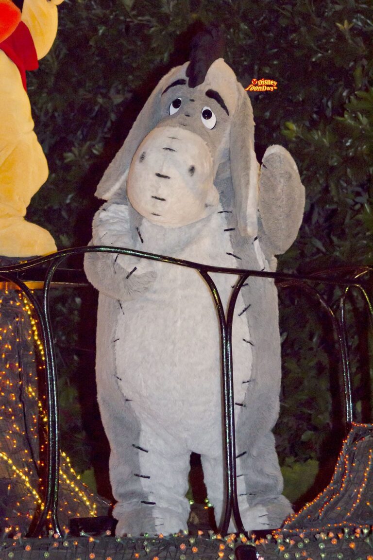 TDL 東京ディズニーランド・エレクトリカルパレード・ドリームライツ　イーヨー