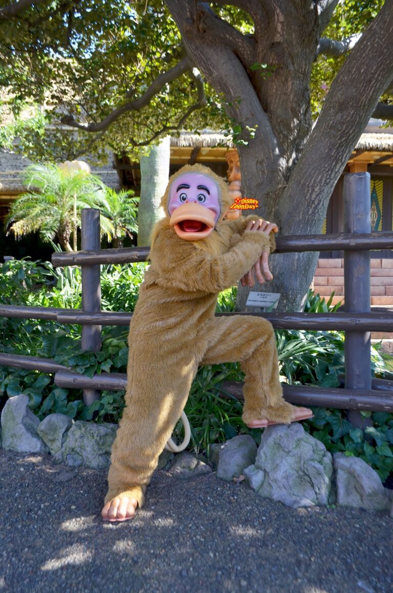 TDL　アドベンチャーランド　グリーティング　モンキー