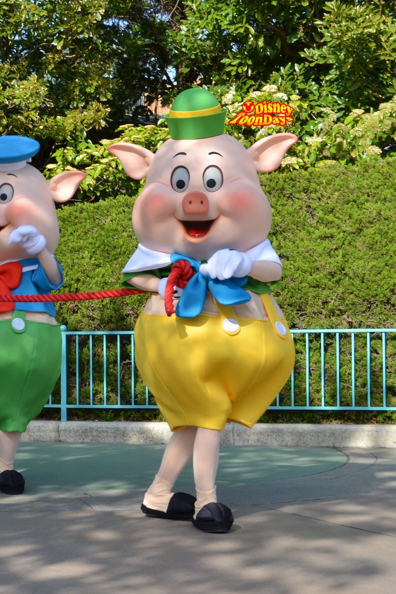 TDL ハピネスイズヒア　ファイファー