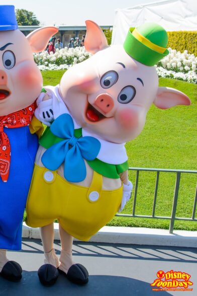 TDL エントランス グリーティング　ファイファーピッグ