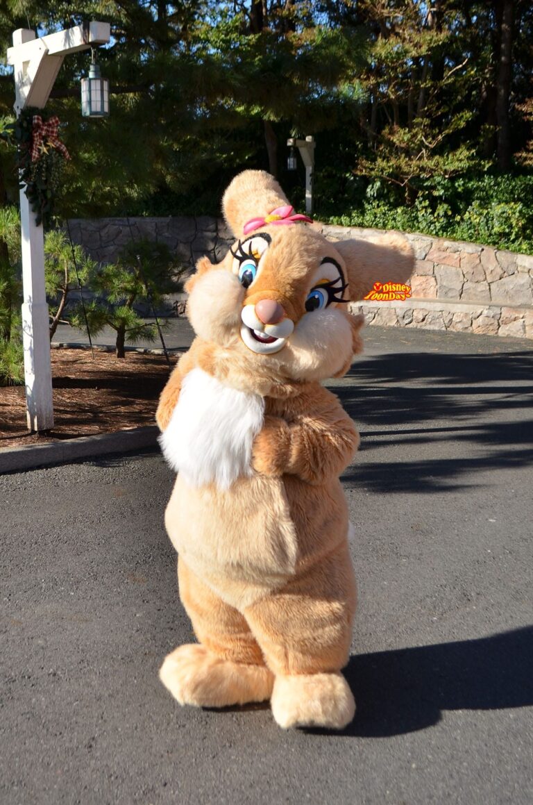 ミスバニー