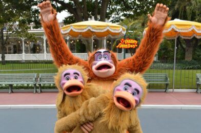ジャングルブックの仲間たち