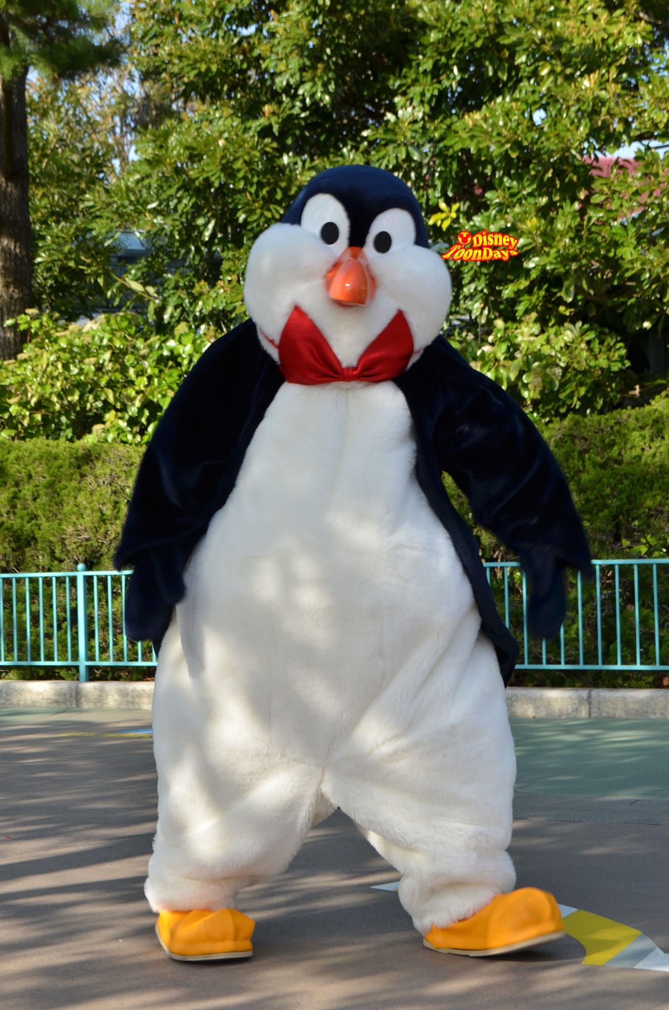 ウェイター・ペンギンの誕生日