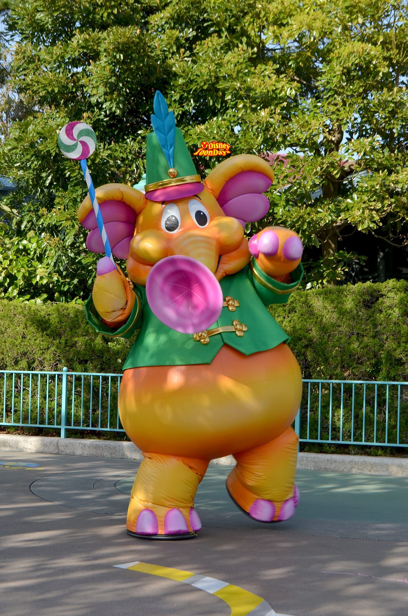 TDL ハピネスイズヒア　ズオウ