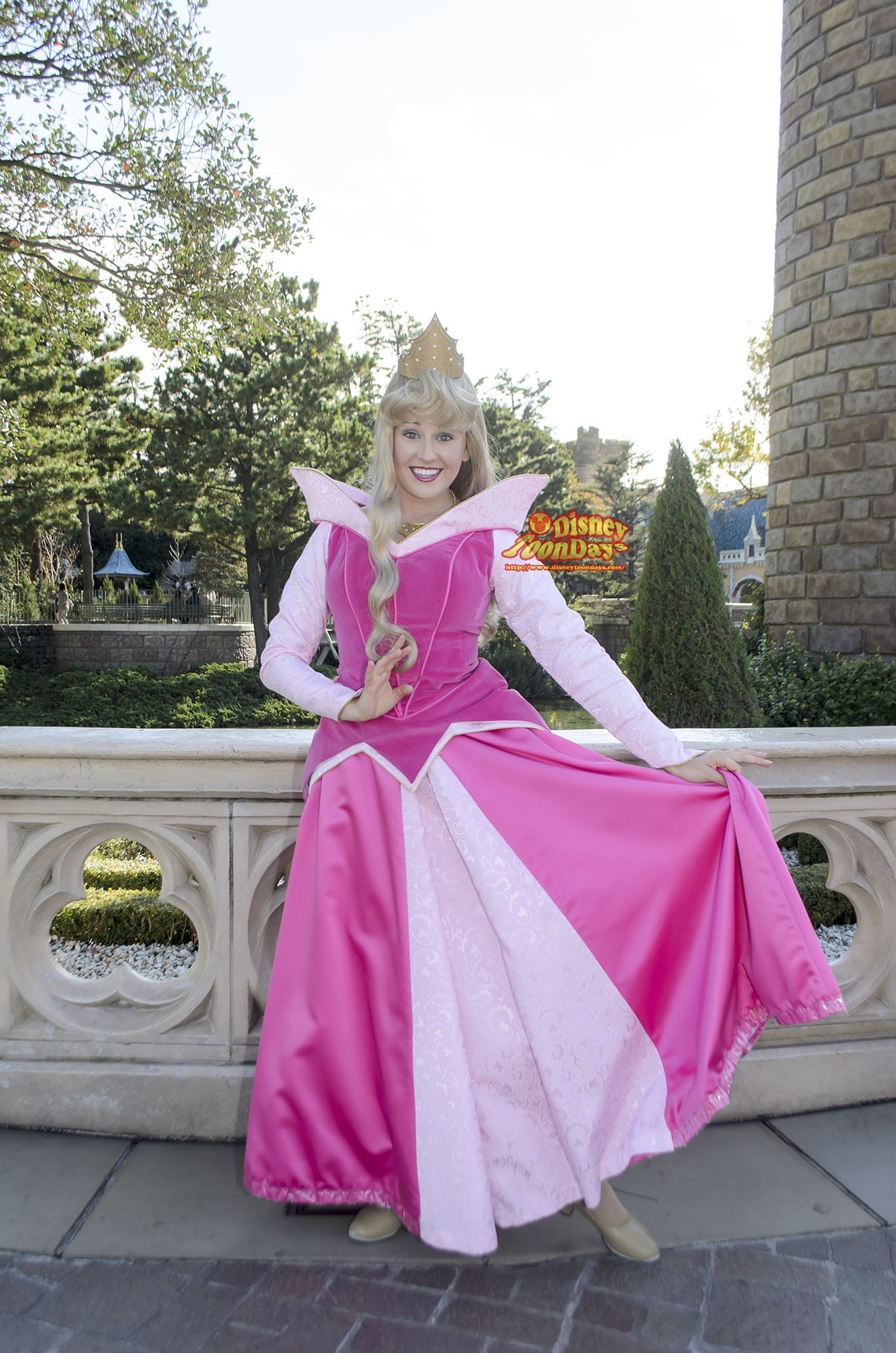 TDL ファンタジーランド グリーティング　オーロラ姫