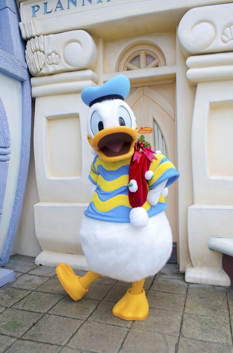 TDL トゥーンタウン　グリーティング　ドナルドダック