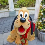 TDS アメリカンウォーターフロント　グリーティング プルート