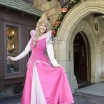 TDL ファンタジーランド　グリーティング　オーロラ姫