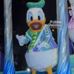 ナイトフォール・グロウのドナルドダック