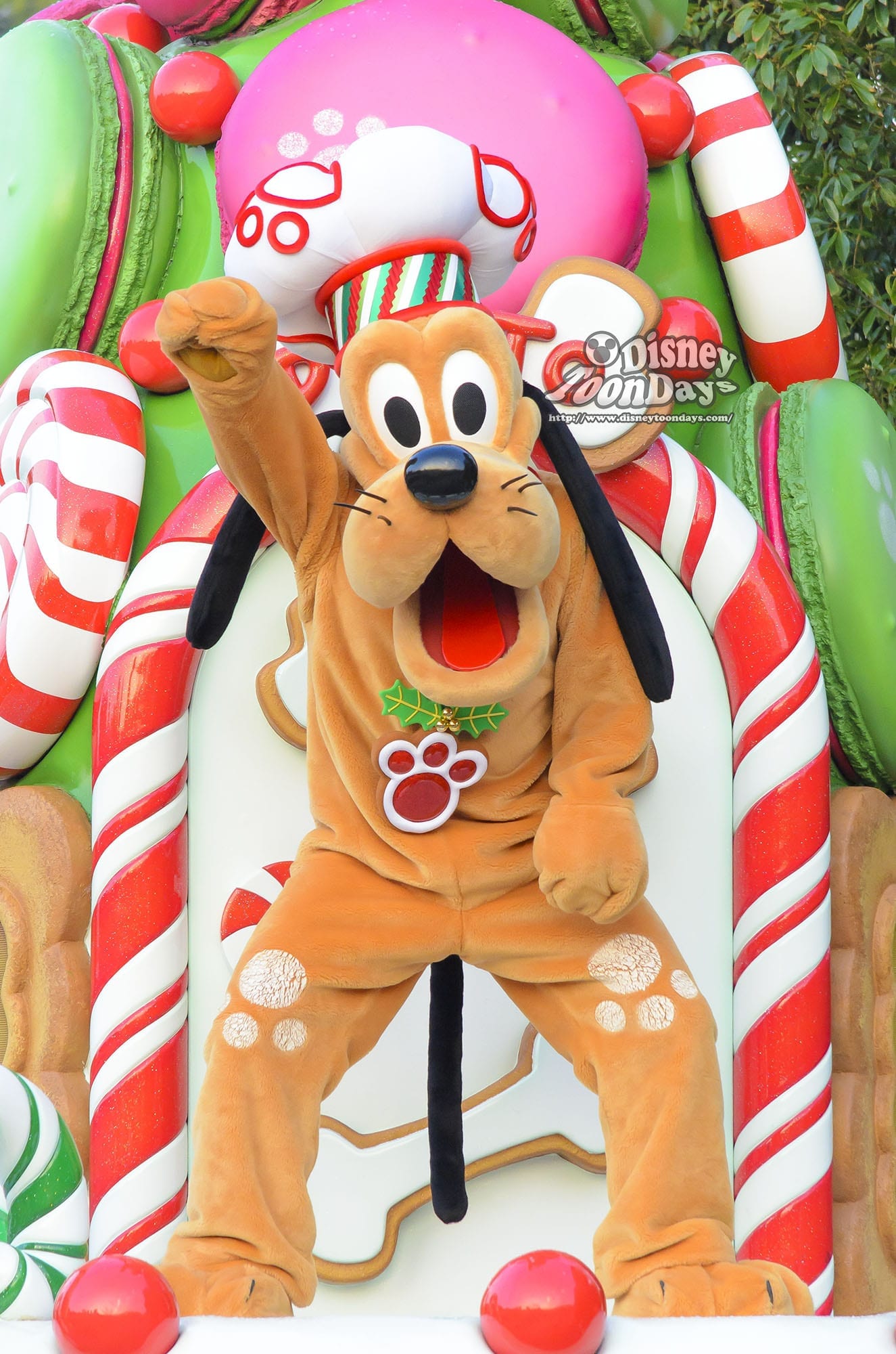 美味しいスイーツとともに