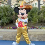 TDS ディズニーシープラザ　グリーティング　30周年限定　ミッキーマウス