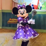 TDS アメリカンウォーターフロント　ケープコッドクックオフ　マイフレンドダッフィー　ミニーマウス