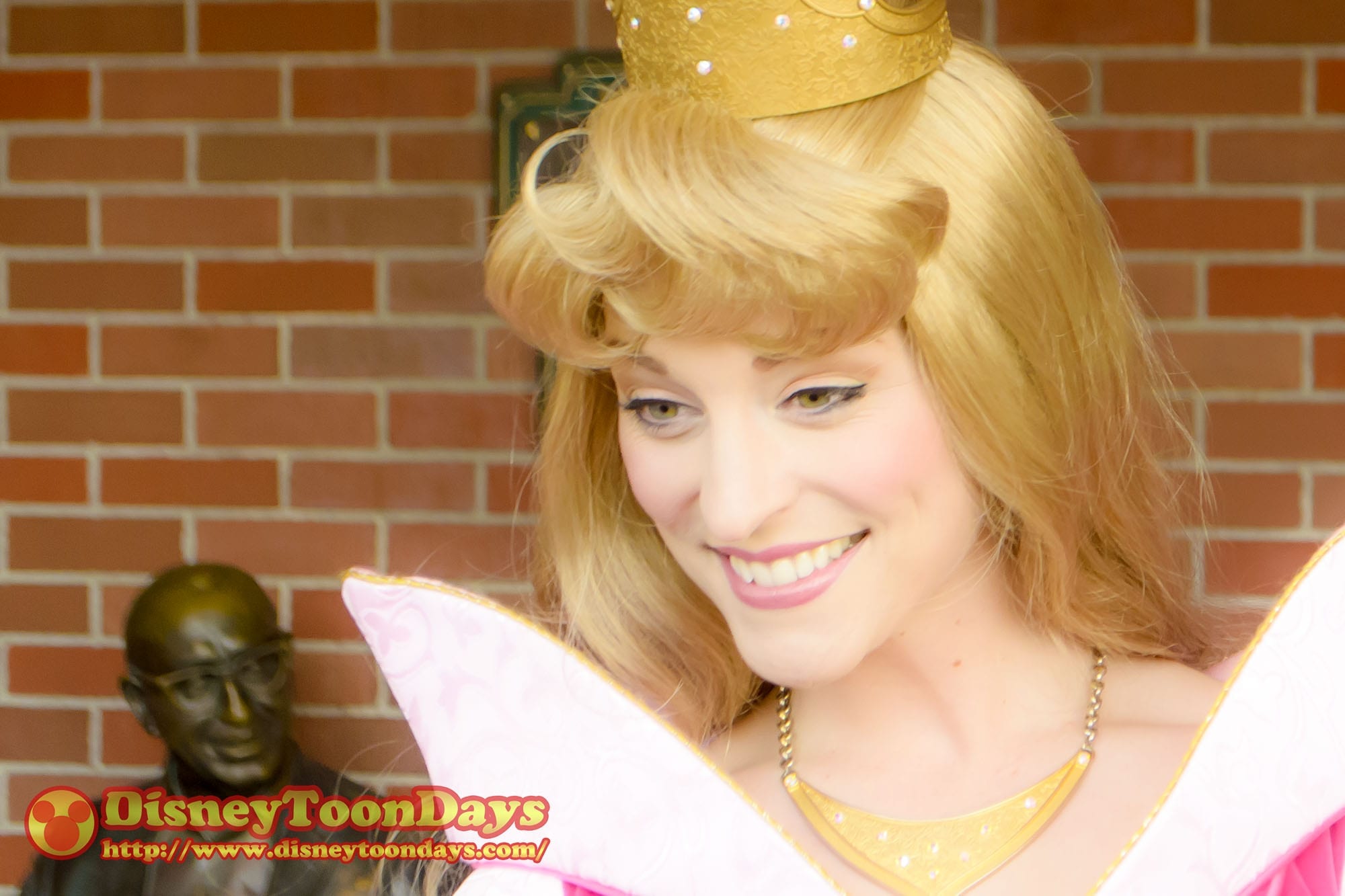 TDL エントランス　グリーティング　オーロラ姫