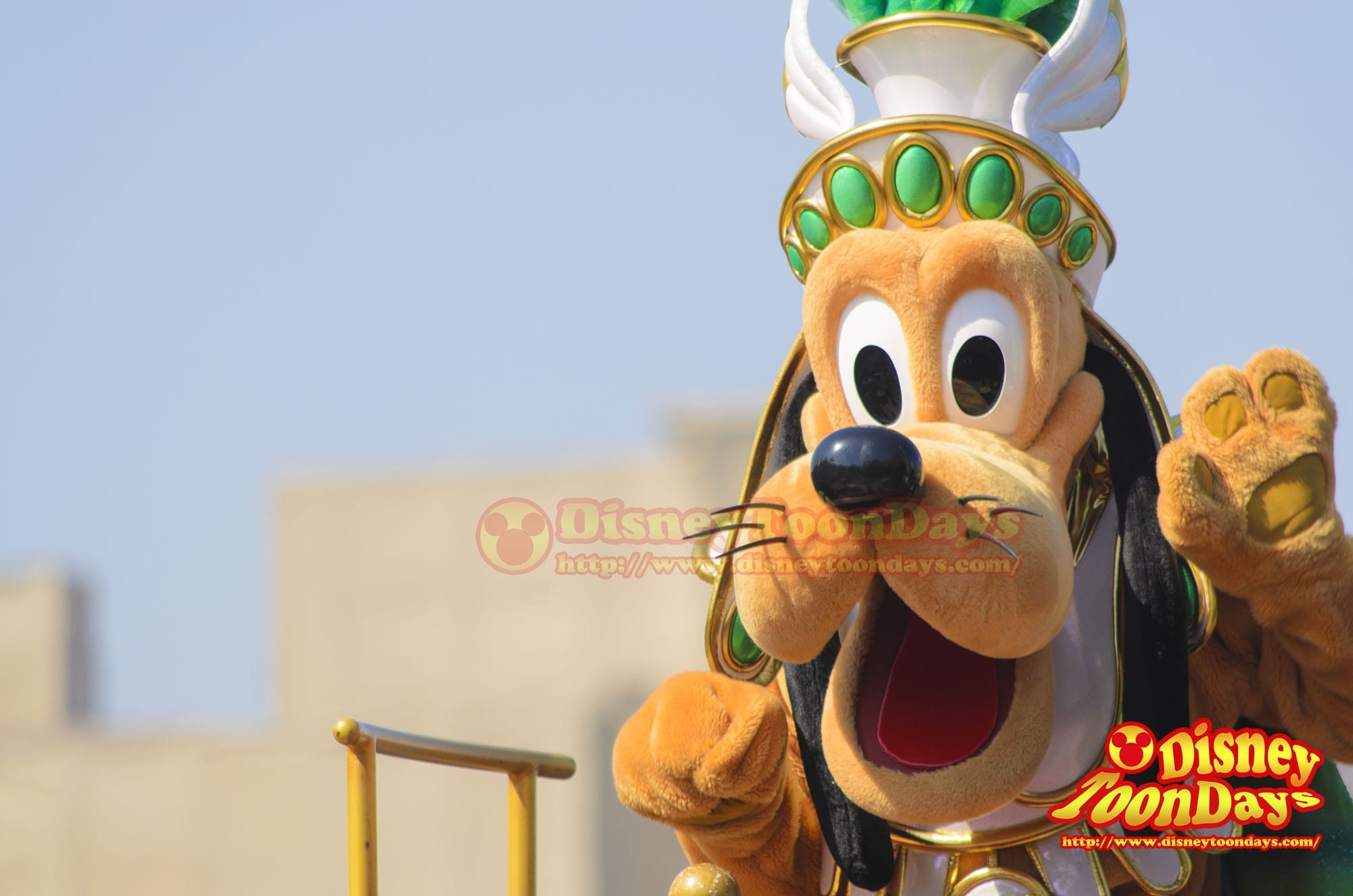 DSC_4897 のコピー