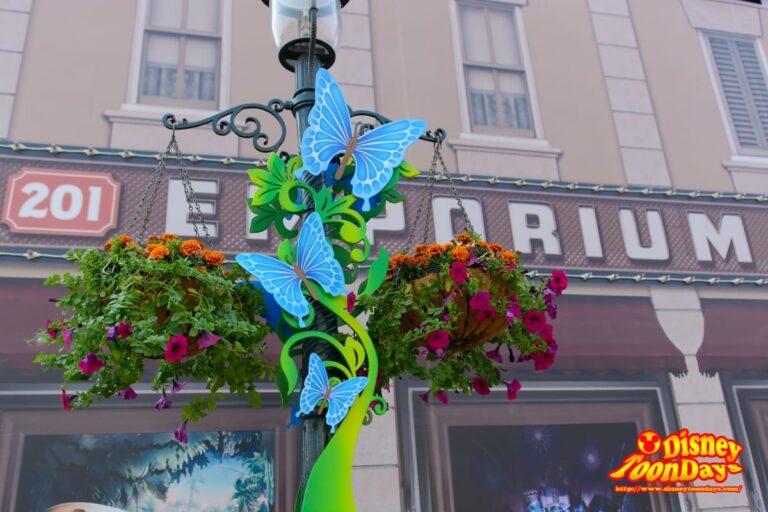 HKDL メインストリートUSA