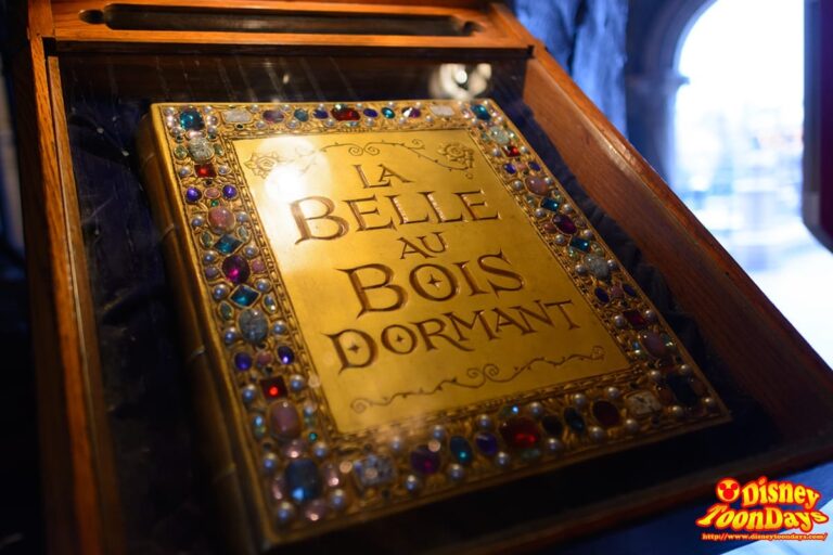 DLP ファンタジーランド  眠れる森の美女の城
