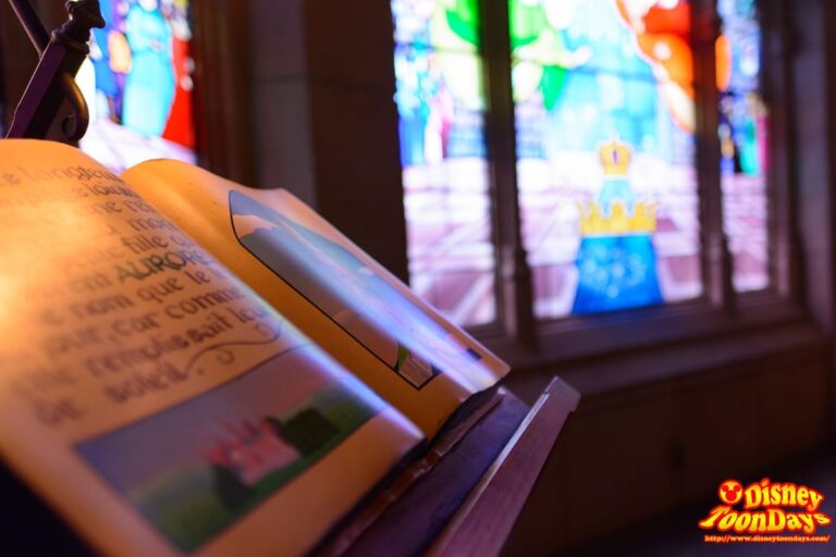 DLP ファンタジーランド  眠れる森の美女の城
