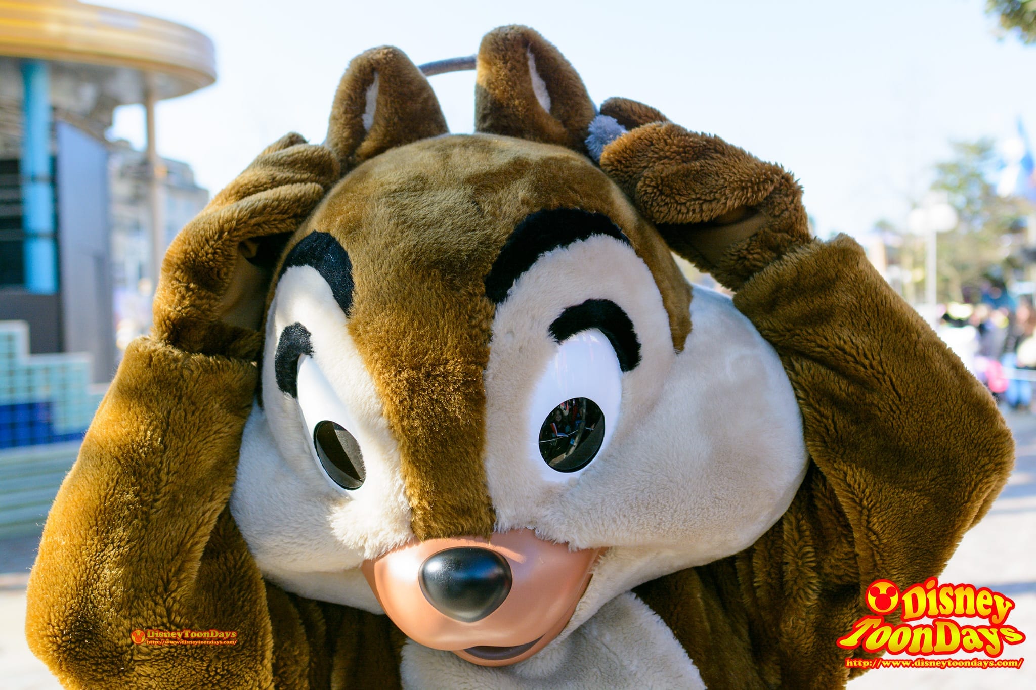 DLP ウォルトディズニースタジオ　プロダクションコートヤード　ディズニーズ・スターズ・アンド・カーズ　グリーティング　チップ