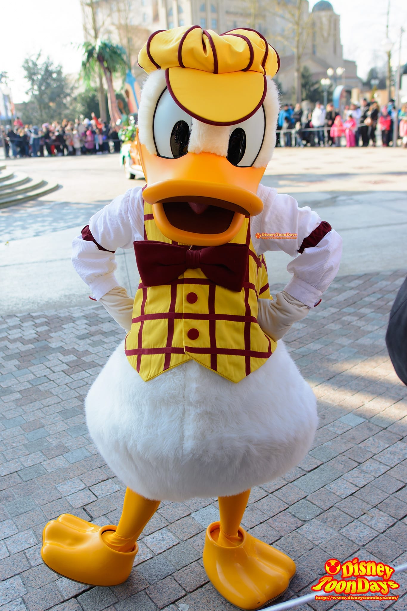 DLP ウォルトディズニースタジオ　プロダクションコートヤード　ディズニーズ・スターズ・アンド・カーズ　グリーティング　ドナルドダック