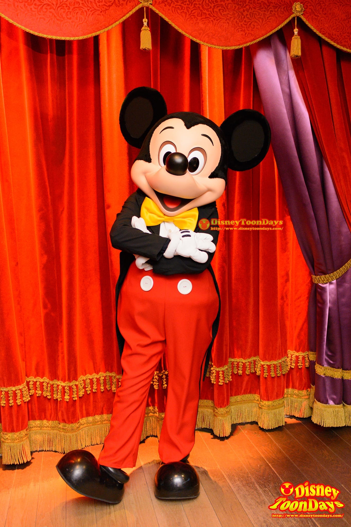 DLP ディズニーランドパリ ファンタジーランド ミート・ミッキー・マウス