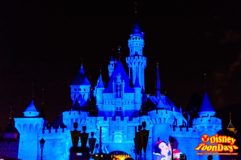 HKDL 10th Happily Ever after 2015  「ディズニー・イン・ザ・スターズ」