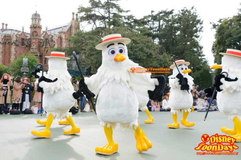 「あこがれの夏」を踊っていたシーガル