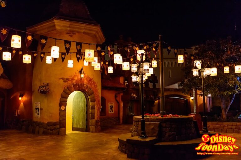 WDW　マジックキングダム 塔の上のラプンツェルエリア 夜景