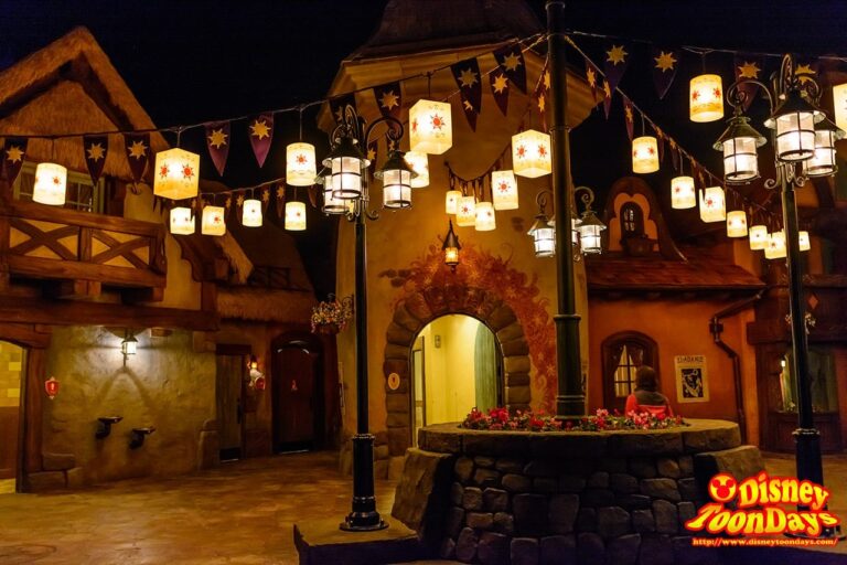 WDW　マジックキングダム 塔の上のラプンツェルエリア 夜景