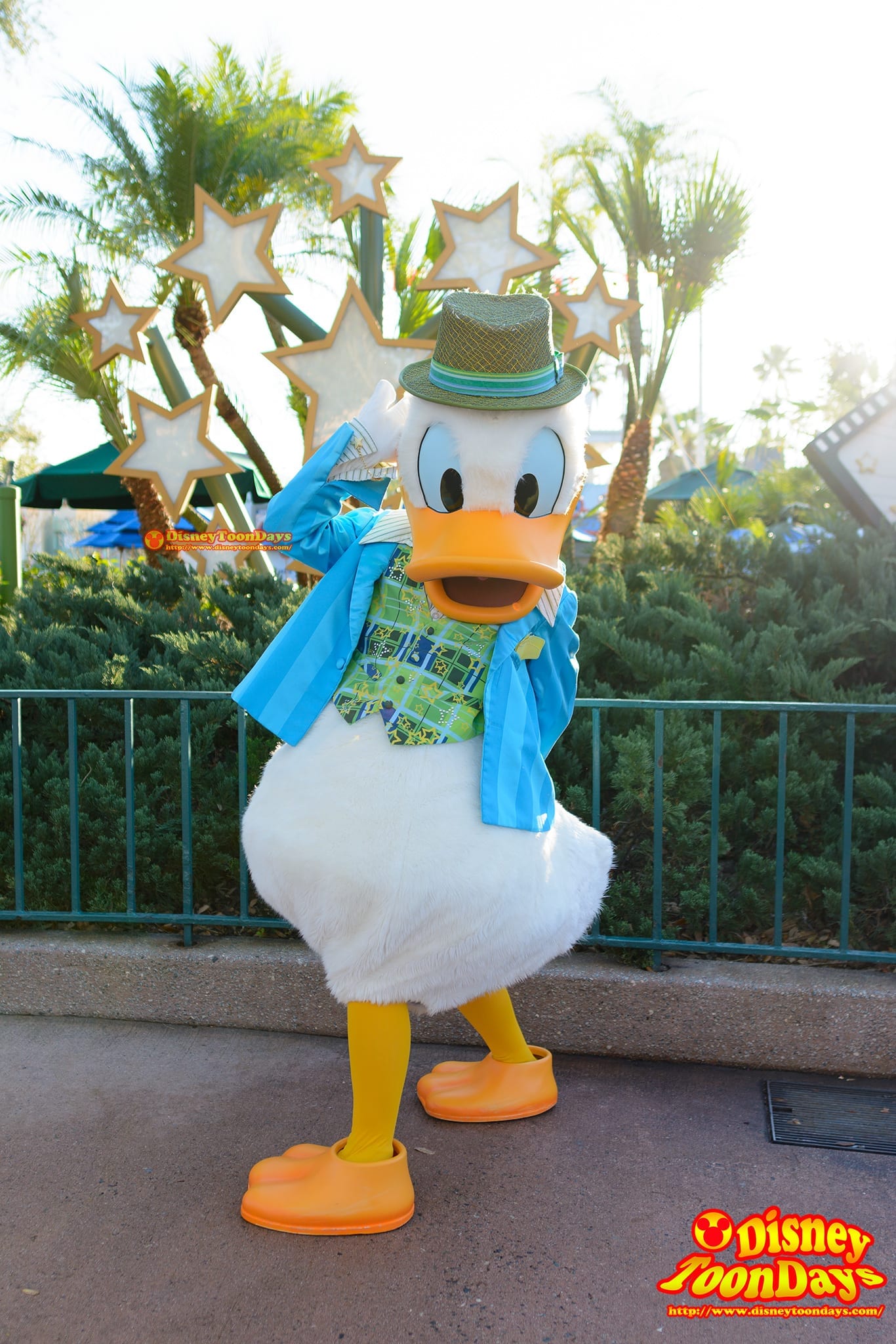 WDW ディズニーハリウッドスタジオ センターステージコートヤード グリーティング ドナルドダック