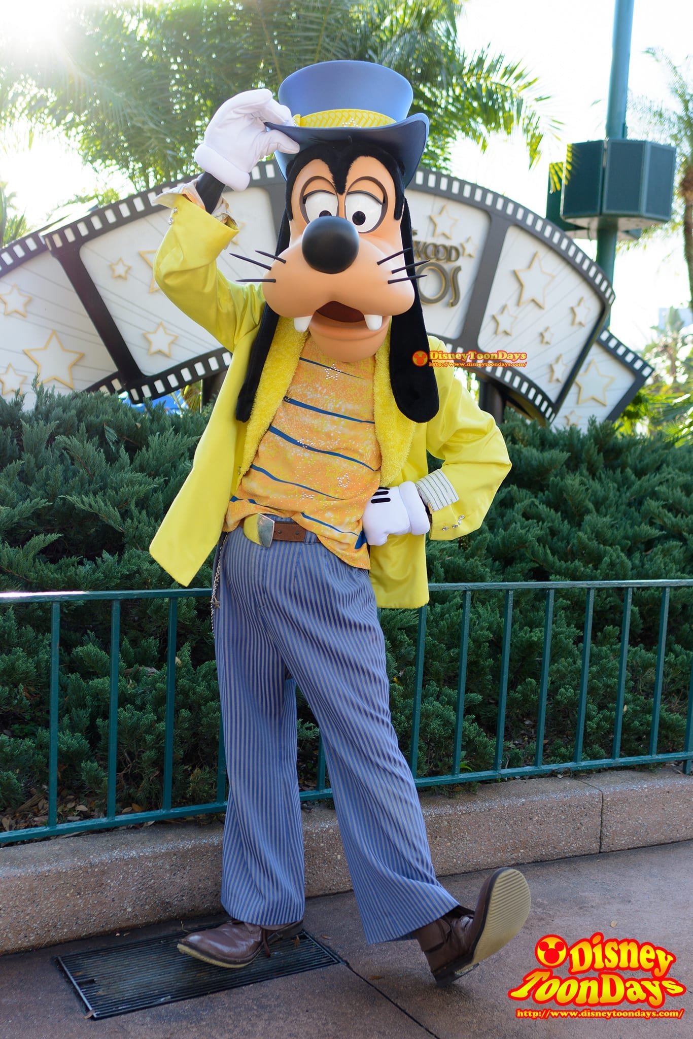 WDW ディズニーハリウッドスタジオ センターステージコートヤード グリーティング グーフィー　