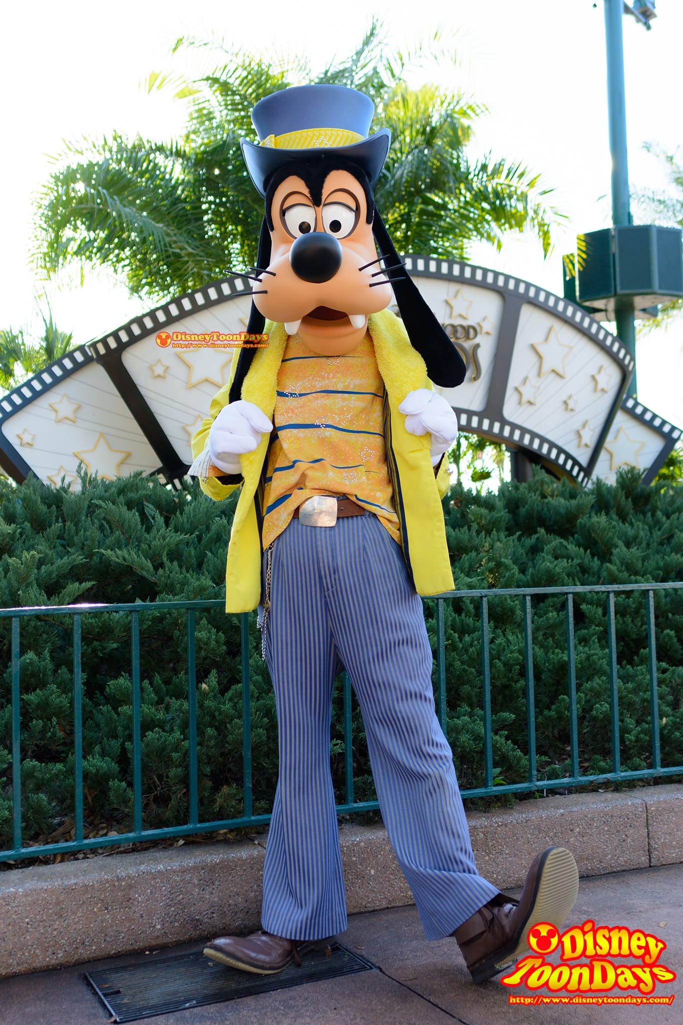 WDW ディズニーハリウッドスタジオ センターステージコートヤード グリーティング グーフィー