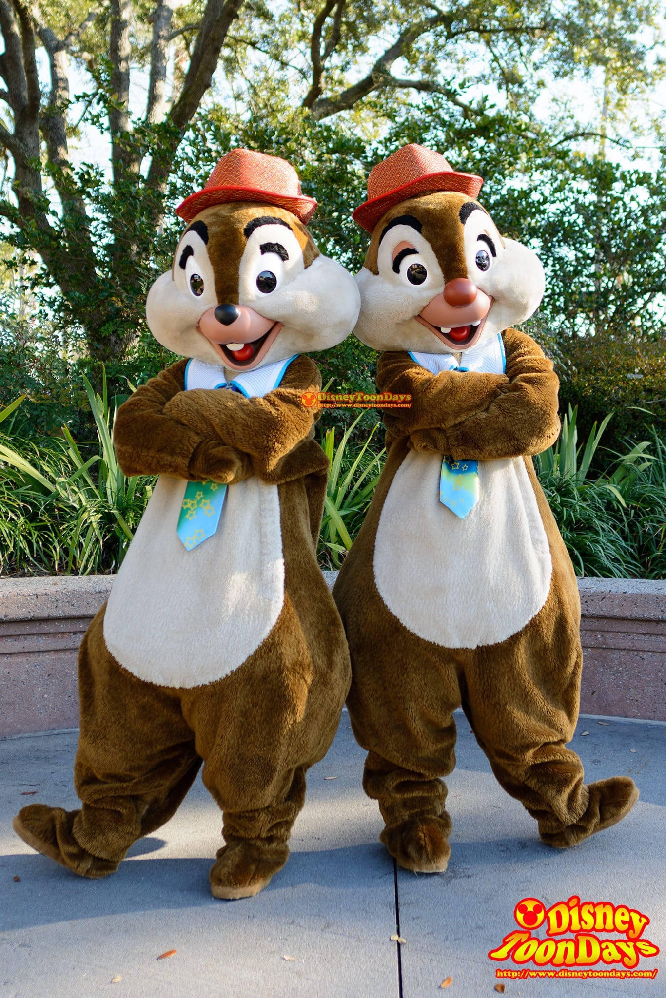 WDW ディズニーハリウッドスタジオ センターステージコートヤード グリーティング チップ デール