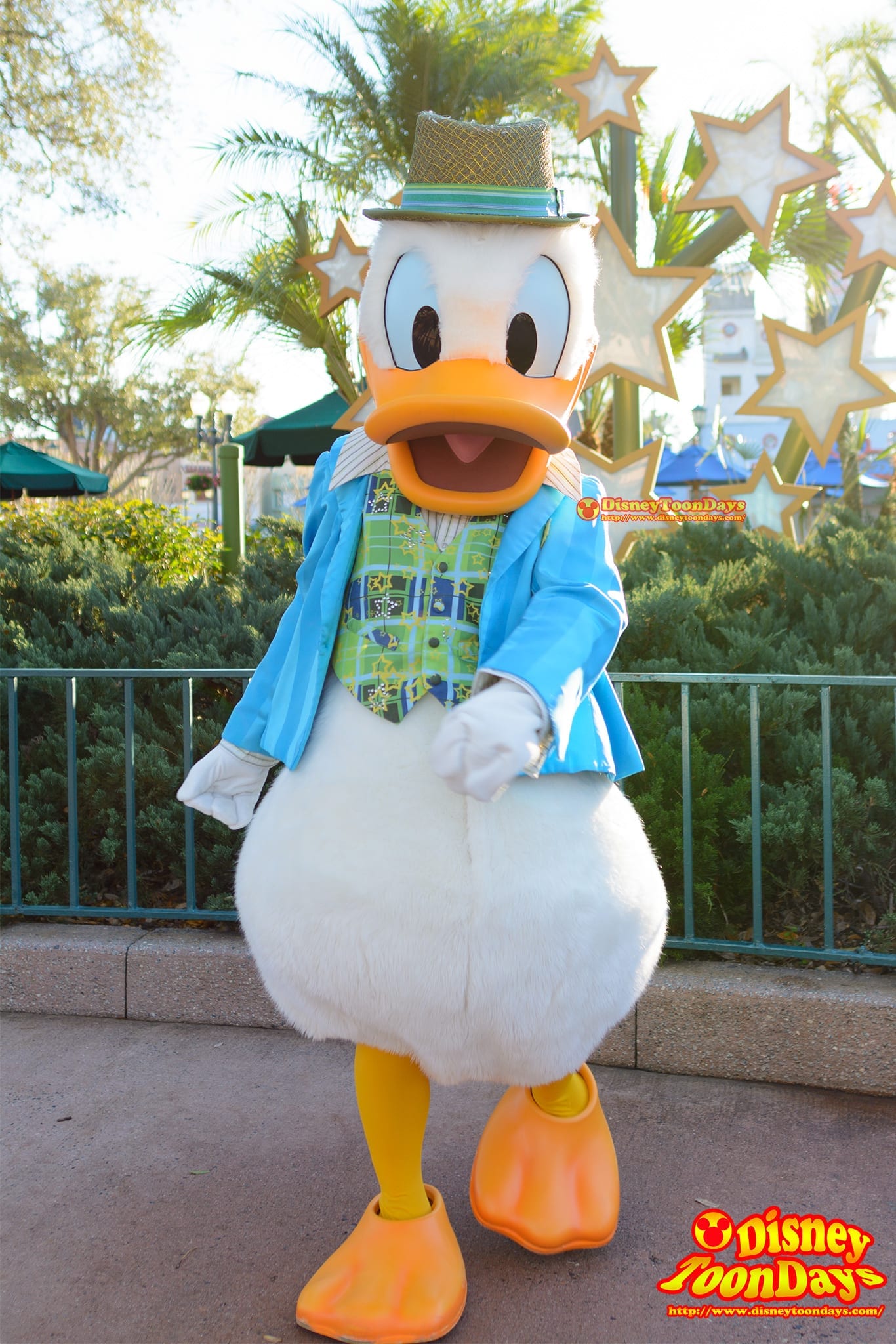 WDW ディズニーハリウッドスタジオ センターステージコートヤード グリーティング ドナルドダック　　