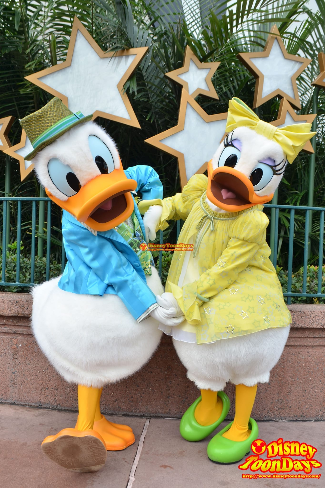 WDW ディズニーハリウッドスタジオ センターステージコートヤード グリーティング ドナルドダック デイジーダック