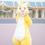 ラビット