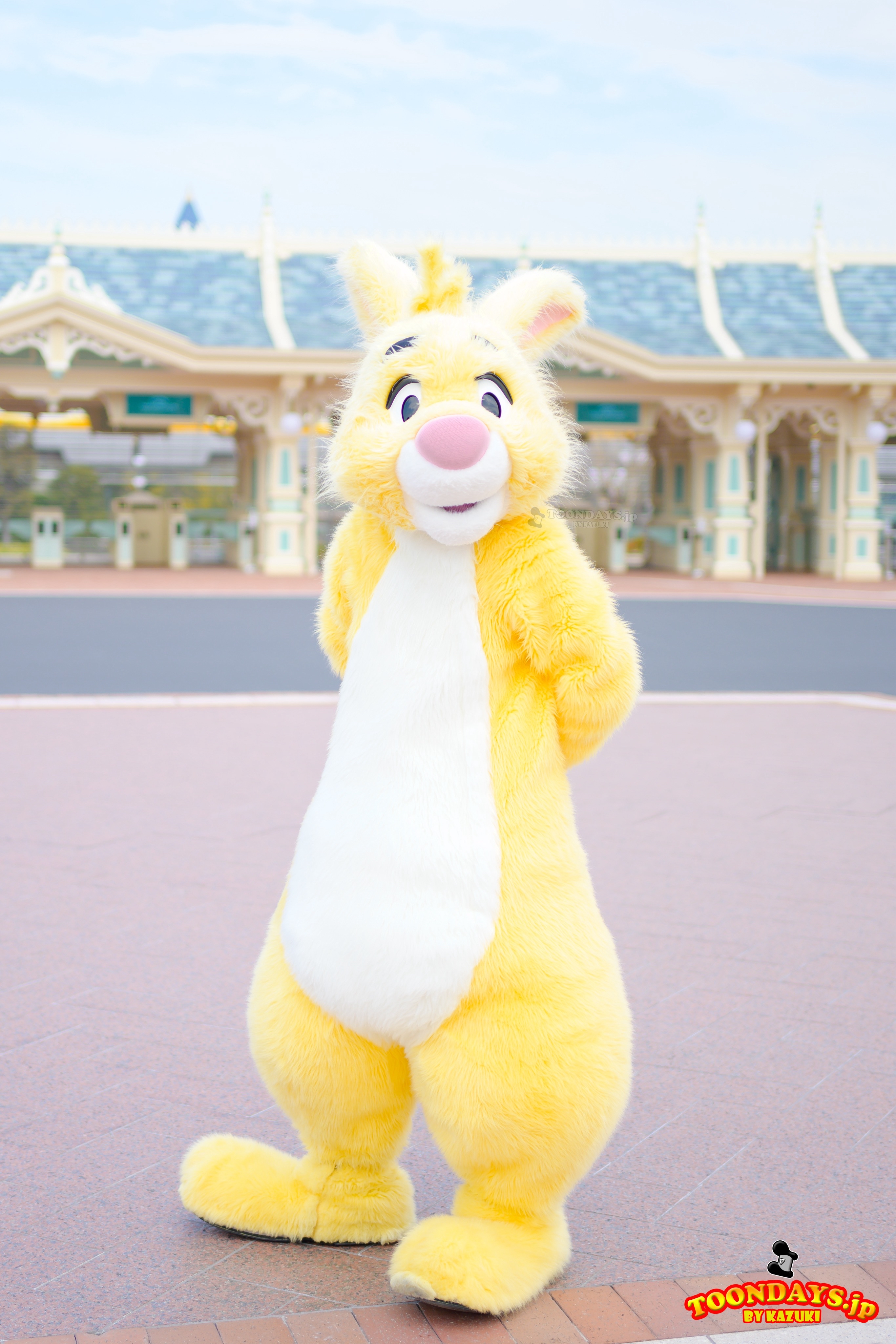 イエローラビット